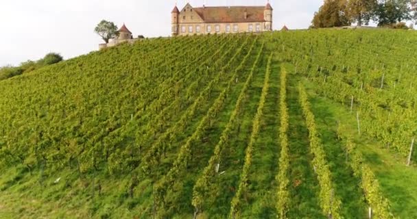 Aerial Copter Flight Beautiful Blooming Vineyards Surrounding Historic Stettenfels Castle — Stockvideo