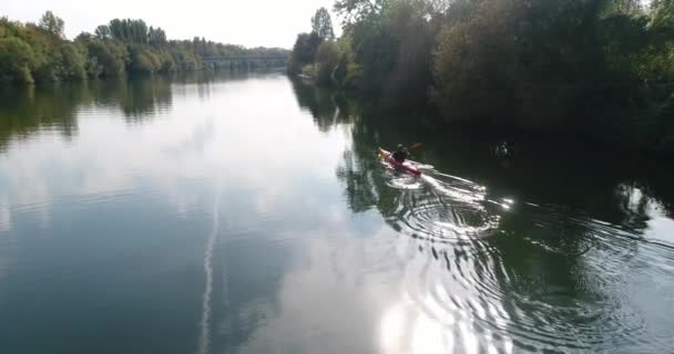 Copter View Man Kayaking Beautiful River Main Heilbronn Germany Footage — Stock videók