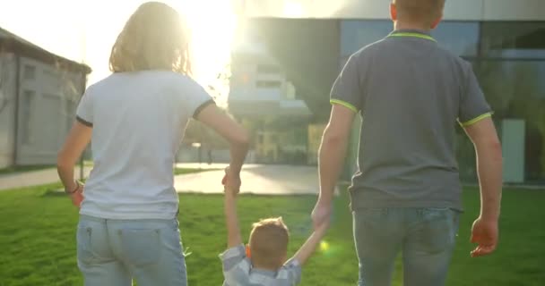Rear View Happy Family Holding Hands Little Son Raising Him — Vídeos de Stock