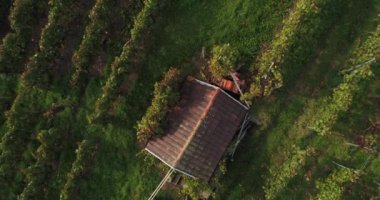 The old house on the green vineyard in Weinsberg, Heilbronn district in Germany. Moving copter up. Top view. 4k footage