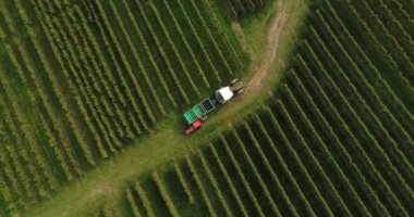 The working machine in vineyard. Top copter view. Weinsberg, Heilbronn district in Germany location