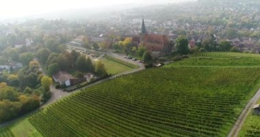 Travelling copter over blooming vineyards and sunny city Weinsberg in Heilbronn district, Germany. Panorama view in 4k