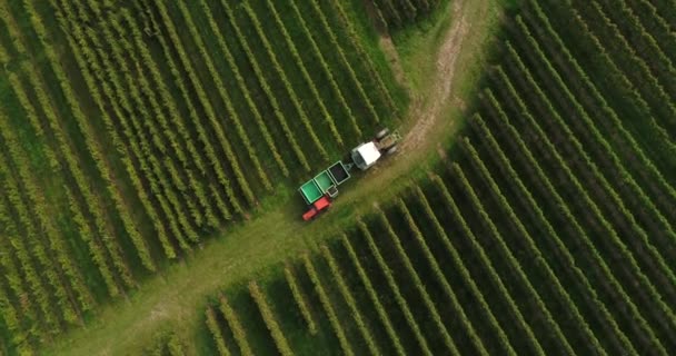 Working Machine Vineyard Top Copter View Weinsberg Heilbronn District Germany — Vídeos de Stock