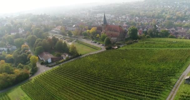 Travelling Copter Blooming Vineyards Sunny City Weinsberg Heilbronn District Germany — Vídeo de Stock