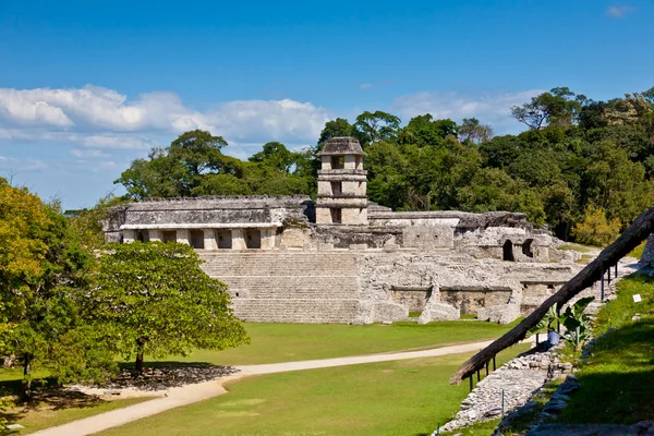 Mayský chrám palenque — Stock fotografie