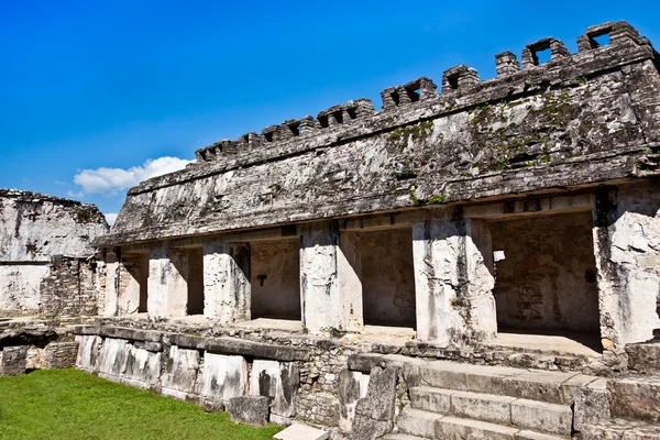 Ruiny chrámu v palenque — Stock fotografie