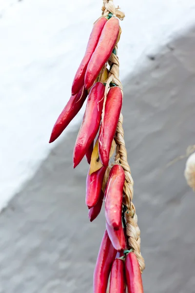 Hanged peppers in apulia — Stock Photo, Image