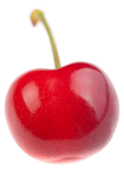 Perfekt cherry — Stockfoto