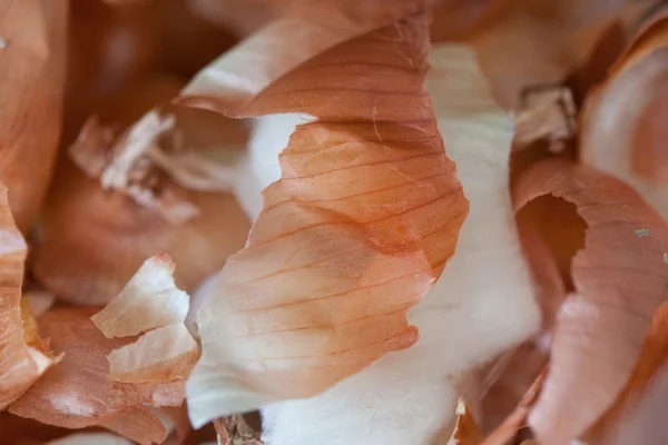 Onion Peels — Stock Photo, Image