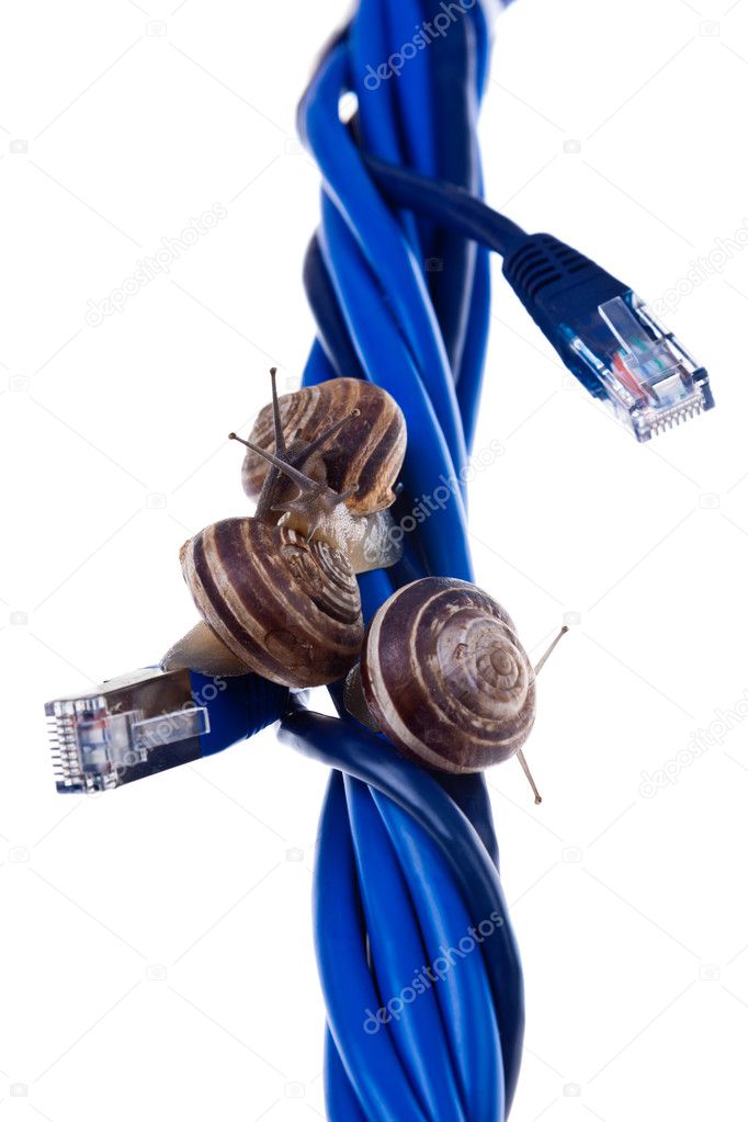 Three snails on blue cables