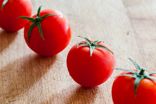 Tomates pequeños en fila —  Fotos de Stock