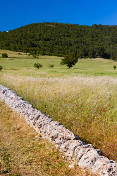 Campo do país — Fotografia de Stock