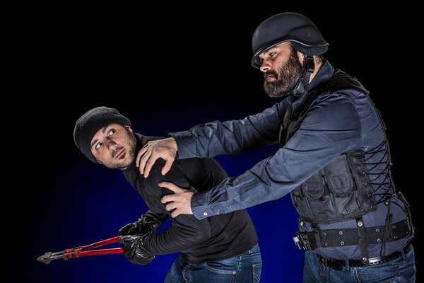 Arresting a Burglar