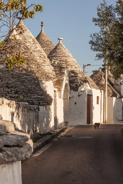 Trulli väg — Stockfoto