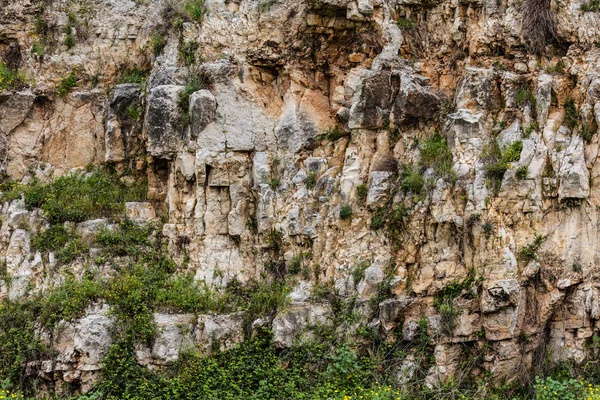 Felsen — Stockfoto