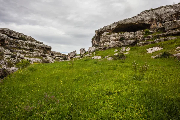 Prehistórico — Foto de Stock