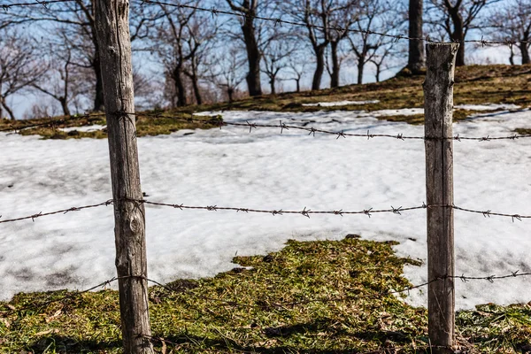 Fils barbelés et neige — Photo