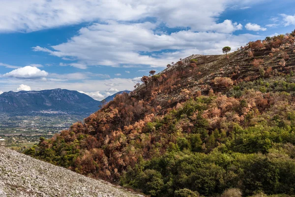 Slopes — Stock Photo, Image