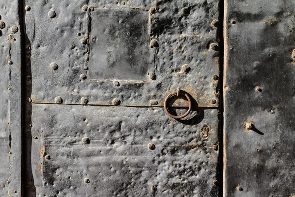 Castle door detail — Stock Photo, Image