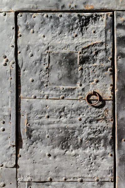 Castle door — Stock Photo, Image