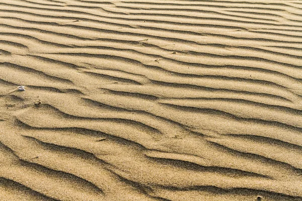 Spiaggia — Foto Stock