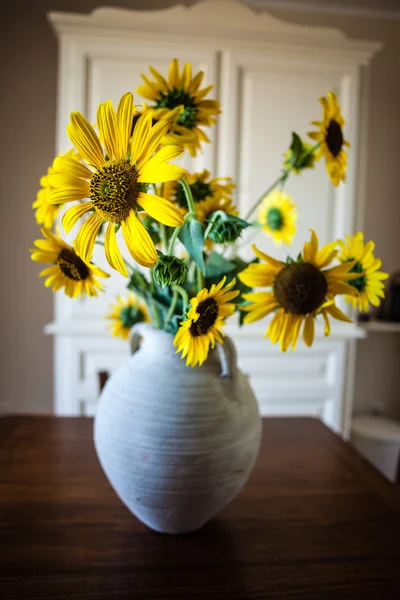 Potted sunflowers — Stock Photo, Image