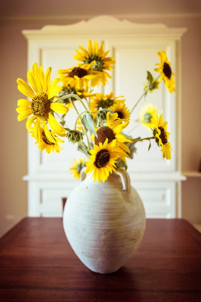 Krukväxter solrosor — Stockfoto