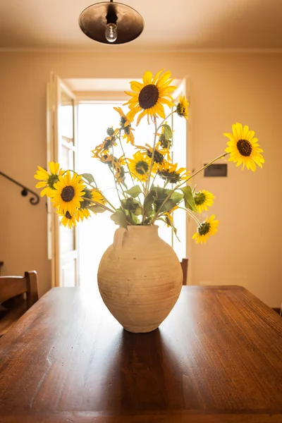 Vibrant sunflower — Stock Photo, Image