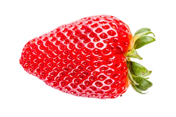 Grosse fraise — Photo