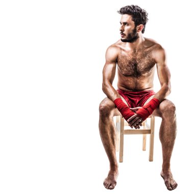 Boxer beyaz üzerinde