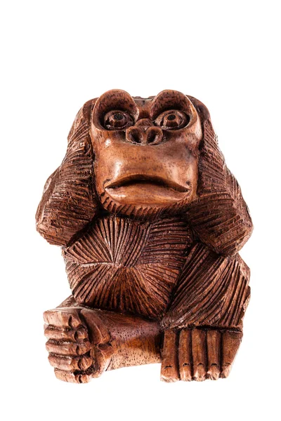 Stupid monkey — Stock Photo, Image