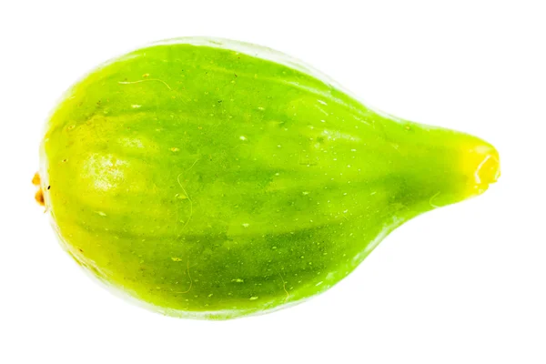 Yeşil incir — Stok fotoğraf