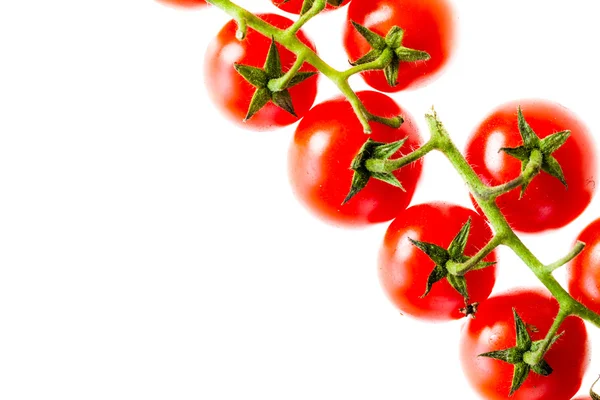 Pomidory Bio — Zdjęcie stockowe