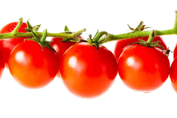 Pomidory pod rząd — Zdjęcie stockowe