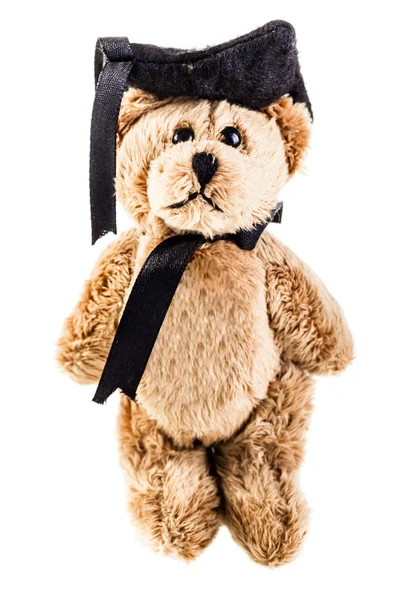 Graduated bear — Stock Photo, Image