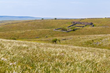 tepe üzerinde jazzo