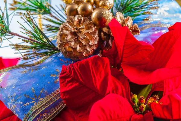 Wreath and poinsettia — Stock Photo, Image