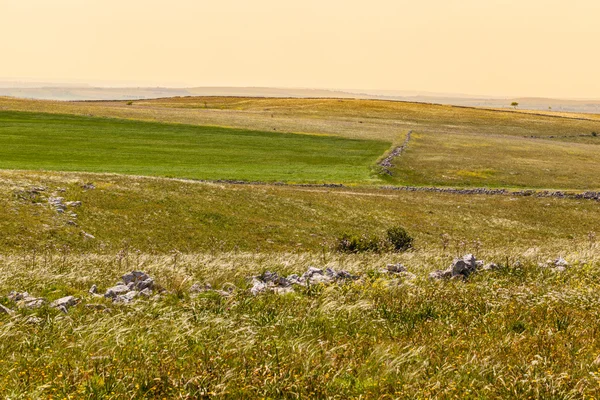 Warm pastures — Stock Photo, Image