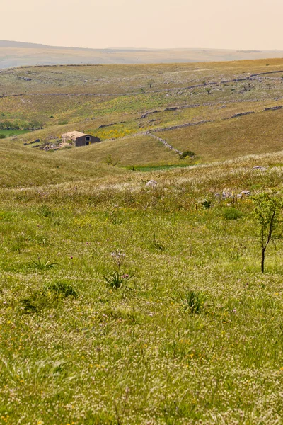 Paisagem rural — Fotografia de Stock