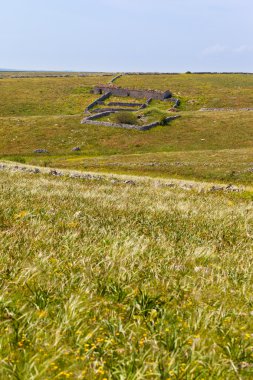 Sheepfold