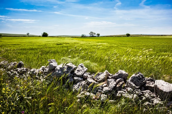 Stones in the country — Stock Photo, Image