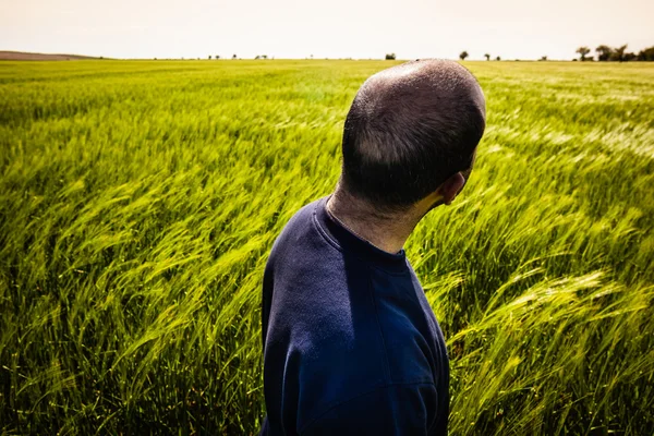 Man in groene veld — Stockfoto