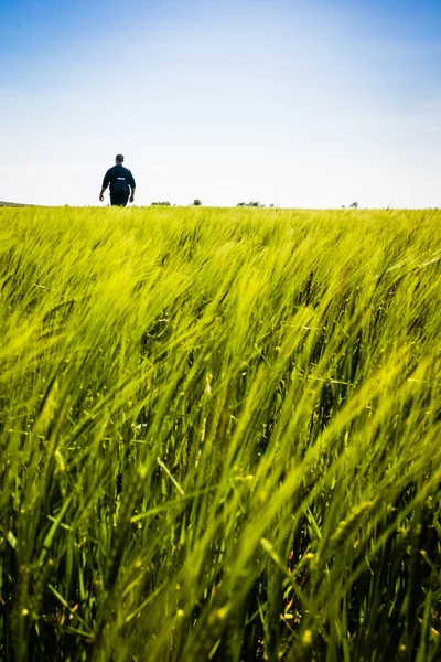 Camminare nel verde — Foto Stock