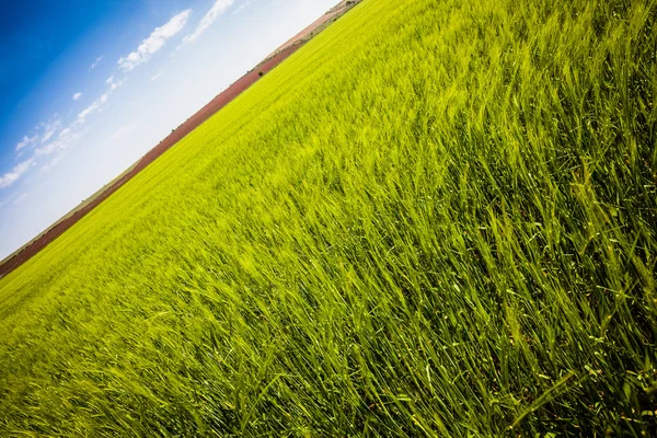 Vall-och betesmark — Stockfoto