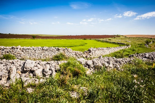 Campos verdes — Fotografia de Stock