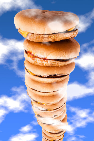 Sky high burgers