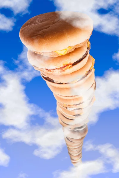 Koryta hamburgery dachu — Zdjęcie stockowe