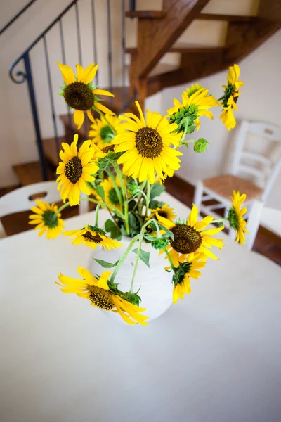Potted sunflower — Stock Photo, Image