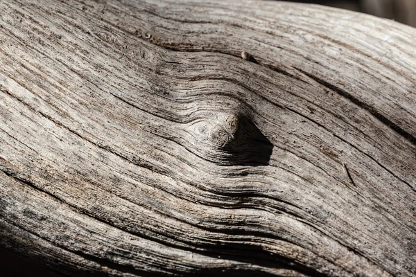 Wood knot — Stock Photo, Image