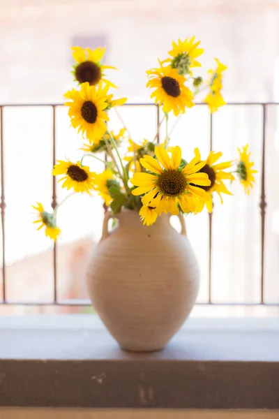 Bright sunflowers — Stock Photo, Image